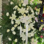 Thăm viếng 7.7.2012