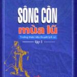 Sông Côn Mùa Lũ